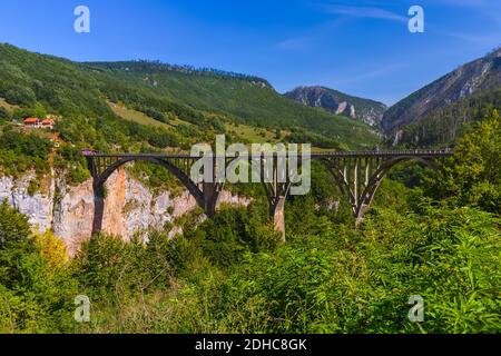 Brücke Durdevica in Fluss Tara-Schlucht - Montenegro Stockfoto