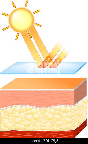 uv-Schutz für empfindliche Haut. Die Sonnencreme schützt die Haut vor schädlicher Strahlung (UVA- und UVB-Strahlen) Stock Vektor