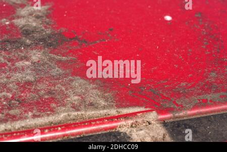 Schmutz, Schlamm und trockene Pollen auf dem Dach des roten Autos nicht für eine lange Zeit gewaschen, Nahaufnahme Detail Foto