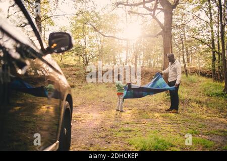 Volle Länge von Vater und Sohn halten Picknick Decke an parken Stockfoto