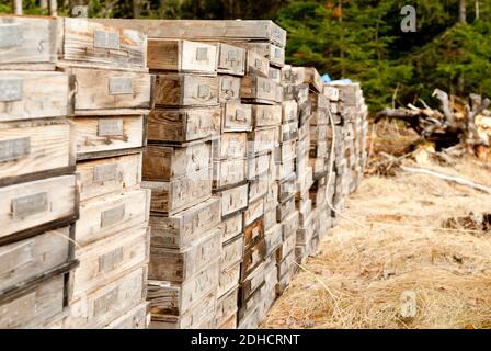Bergbau Kernproben aus test Bohrgeräte Stockfoto
