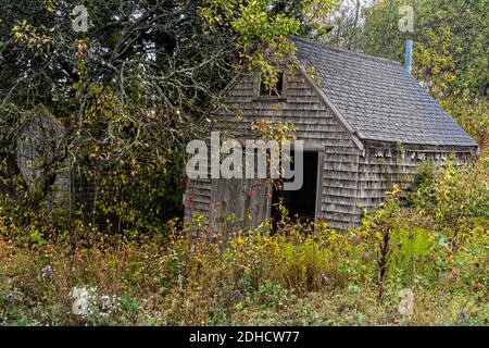 Eine alte Fischerhütte an einem nebligen Morgen im malerischen Fischerhafen in Port Clyde, Maine. Stockfoto