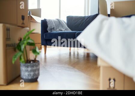 Nahaufnahme von gestapelten Entnahmeboxen und Hausanlagen in Lounge bereit für den Einzug oder Umzug von zu Hause Stockfoto