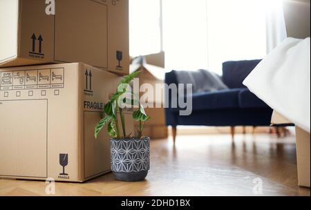 Nahaufnahme von gestapelten Entnahmeboxen und Hausanlagen in Lounge bereit für den Einzug oder Umzug von zu Hause Stockfoto