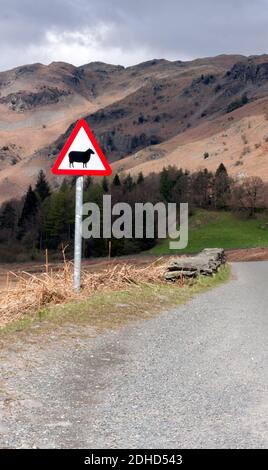 Warnschild für Schafe auf der Straße in hügeliger Landschaft Stockfoto