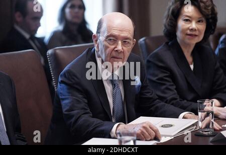 Handelsminister Wilbur Ross nimmt an einer Kabinettssitzung im Kabinettsaal des Weißen Hauses am 16. Oktober 2017 in Washington D.C. Teil. Foto von Olivier Douliery/ Abaca Press Stockfoto