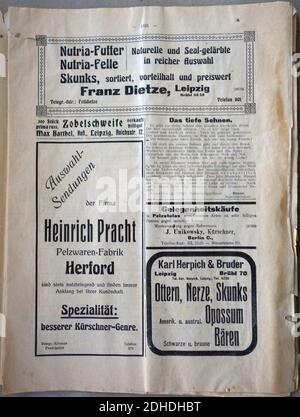 Kürschner-Zeitung Nr. 25, Leipzig 08. Dezember 1912 (31). Stockfoto