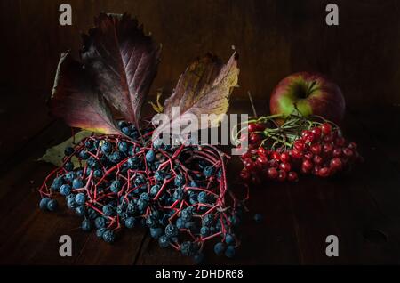 Traube aus Wildtrauben und Viburnum-Beeren Stockfoto