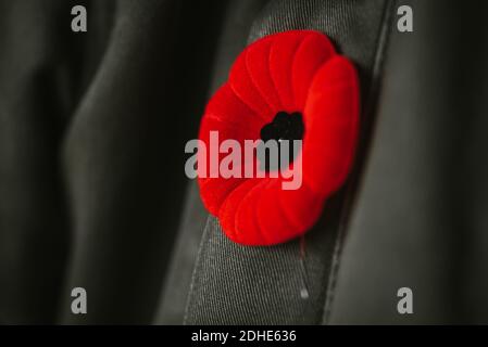 Nahaufnahme der künstlichen Mohn Blume auf Mantel Revers für Remembrance Day. Stockfoto