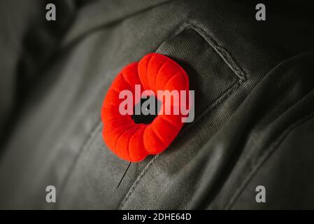 Nahaufnahme der künstlichen Mohn Blume auf Mantel Revers für Remembrance Day. Stockfoto