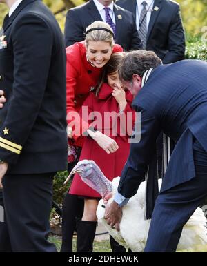 Ivanka Trump mit ihrem Kind Arabella Rose Kushner , wirft einen genaueren Blick auf "Rumstick", die nationale Thanksgiving-Türkei während einer Zeremonie im Rosengarten des Weißen Hauses 21. November 2017 in Washington, DC, USA. Foto von Olivier Douliery/ABACAPRESS.COM Stockfoto