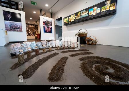 Saatgut und landwirtschaftliche Ausrüstung im Leinenmuseum Museu do Linho de Várzea de Calde in Varzea de Calde, Portugal Stockfoto