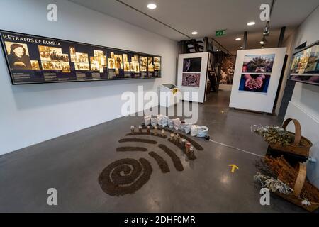 Saatgut und landwirtschaftliche Ausrüstung im Leinenmuseum Museu do Linho de Várzea de Calde in Varzea de Calde, Portugal Stockfoto