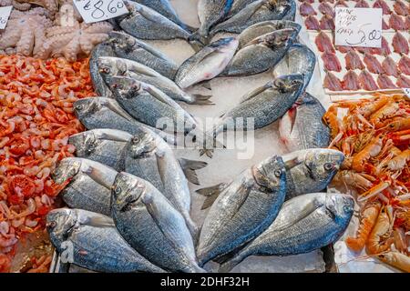 Fisch und Meeresfrüchte zum Verkauf auf einem Markt in Venedig, Italien Stockfoto