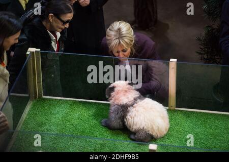 Die französische First Lady Brigitte Macron, Rodolphe Delord, Direktor des Beauval Zoos, der französische Außenminister Jean-Baptiste Lemoyne, Jean-Pierre Raffarin, nahmen an einer Namenszeremonie für das Baby Panda Teil, das am 4. Dezember 2017 im Beauval Zoo, Saint-Aignan-sur-Cher, Frankreich, geboren wurde. Das 4 Monate alte Junge wird Yuan Meng genannt, was "die Verwirklichung eines Wunsches" oder "Erfüllung eines Traums" bedeutet. Foto von Eliot Blondt/ABACAPRESS.COM Stockfoto