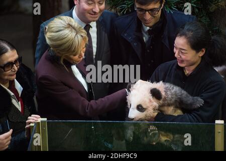 Die französische First Lady Brigitte Macron, Rodolphe Delord, Direktor des Beauval Zoos, der französische Außenminister Jean-Baptiste Lemoyne, Jean-Pierre Raffarin, nahmen an einer Namenszeremonie für das Baby Panda Teil, das am 4. Dezember 2017 im Beauval Zoo, Saint-Aignan-sur-Cher, Frankreich, geboren wurde. Das 4 Monate alte Junge wird Yuan Meng genannt, was "die Verwirklichung eines Wunsches" oder "Erfüllung eines Traums" bedeutet. Foto von Eliot Blondt/ABACAPRESS.COM Stockfoto