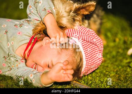 Kind mit einem yorkshire Hund auf grünem Gras im Hinterhof Spaß haben. Stockfoto