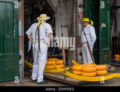 Alkmaar, Niederlande - 28. April 2017: Käseträger auf dem traditionellen Käsemarkt Stockfoto