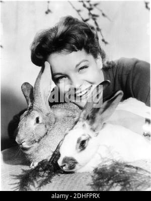 1955 , ÖSTERREICH : die Filmschauspielerin ROMY SCHNEIDER ( 1938 - 1982 ) - ATTRICE - FILM - FILM - KINO - Porträt - ritratto - Lächeln - sorriso - conigli - coniglio - Hase - Hasen - BUONA PASQUA - Ostern ---- Archivio GBB Stockfoto