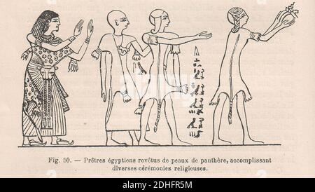 La pelleterie et le vêtement de fourrure dans l'antiquité (Seite 104). Stockfoto