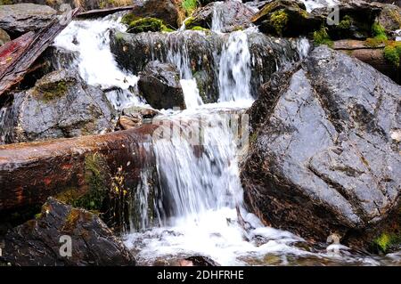 Ein kleiner Gebirgsfluss fließt in einer schnellen Kaskade eines Wasserfalls hinunter und beugt sich um große Steine. Boki Fluss, Altai, Sibirien, Russland. Stockfoto