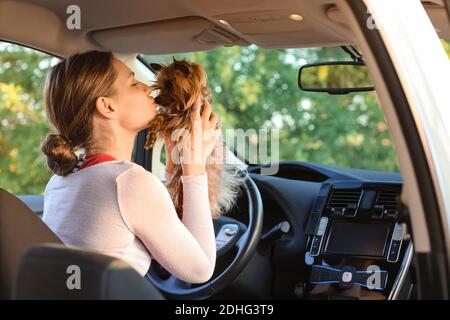 Frau mit niedlichen Hund im modernen Auto Stockfoto