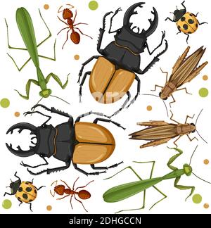 Set von verschiedenen Insekten auf weißem Hintergrund Illustration Stock Vektor