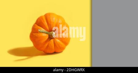 Kürbis auf gelber Farbe des Jahres 2021 und grauem Hintergrund. Hochwertige Fotos Stockfoto