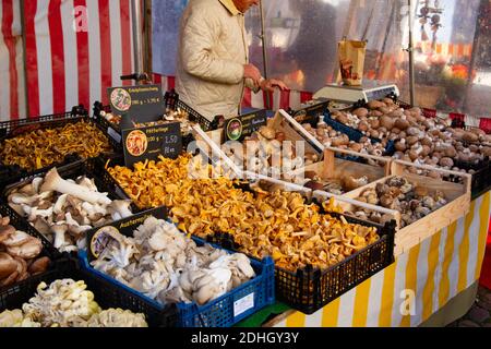 Freiburg im Breisgau, Deutschland - 11 09 2012: Verschiedene Pilzarten auf dem Bauernmarkt Stockfoto