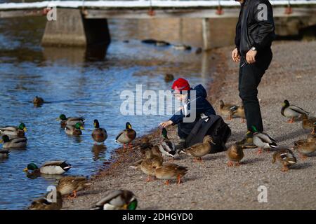 Titisee-Neustadt, Deutschland - 10 30 2012: Familie mit Jungen füttert Enten am Titisee an einem schönen kalten sonnigen Herbsttag Stockfoto