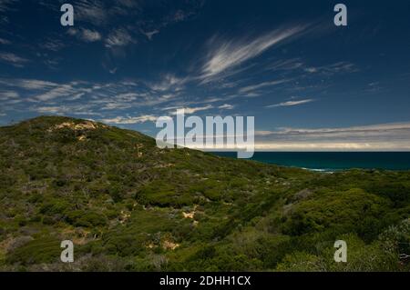 In Australien sieht der Sommer so aus - blauer Himmel und türkisfarbenes Meer. Dies ist Cheviot Hill, auf der Rückseite des Cheviot Beach am Point Nepean. Stockfoto