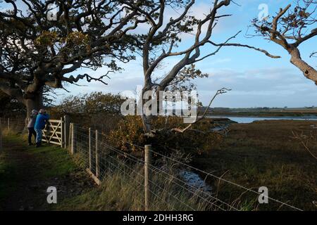 Das Paar lehnt sich an das hölzerne Landtor und benutzt ein Fernglas zur Vogelbeobachtung in Newtown Creek Nature Reserve Isle of Wight Stockfoto