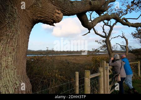 Das Paar lehnt sich an das hölzerne Landtor und benutzt ein Fernglas zur Vogelbeobachtung in Newtown Creek Nature Reserve Isle of Wight Stockfoto