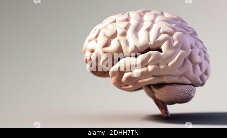 Menschliches Gehirn steht auf weichem Hintergrund. Platz links kopieren. 3D-Illustration. Stockfoto