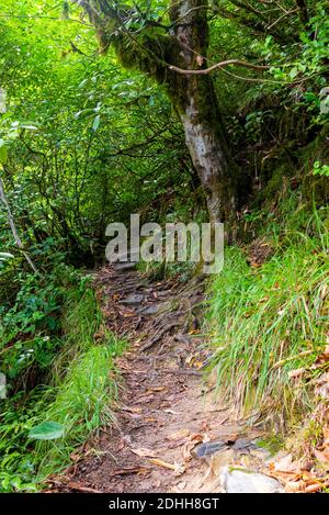 Wandern Sie auf dem Fernwanderweg. Schmaler Weg am Hang. Stockfoto