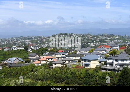 Neuseeland. Dezember 2020. Das Foto vom 11. Dezember 2020 zeigt Häuser in Vororten von Wellington, Neuseeland. Die durchschnittlichen Immobilienpreise in ganz Neuseeland stiegen im November um 18.5 Prozent gegenüber dem Vorjahr auf ein Rekordhoch von 749,000 neuseeländischen Dollar (532,491 US-Dollar), da die Immobilienverkäufe im November um 29.6 Prozent gegenüber dem Vorjahreszeitraum stiegen und die Lagerbestände auf dem niedrigsten Stand aller Zeiten lagen. Das Real Estate Institute of New Zealand (REINZ) sagte am Freitag. Kredit: Guo Lei/Xinhua/Alamy Live Nachrichten Stockfoto