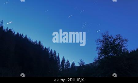 Ein niedriger Winkel Aufnahme der Silhouette der Bäume In der Nacht mit Sternen Spuren in den Himmel Stockfoto