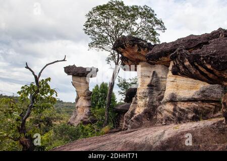 Die Sao Chaliang Felsschnitzereien im Pha Taem Nationalpark In der Provinz Ubon Ratchathan Thailand Asien Stockfoto