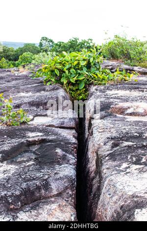 Die Sao Chaliang Felsschnitzereien im Pha Taem Nationalpark In der Provinz Ubon Ratchathan Thailand Asien Stockfoto