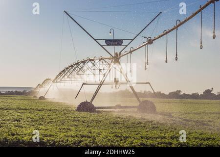 PORT ELIZABETH, SÜDAFRIKA - 25. Nov 2020: Center Pivot Bewässerung auf einer Farm während unserer Reisen in Südafrika gesehen Stockfoto