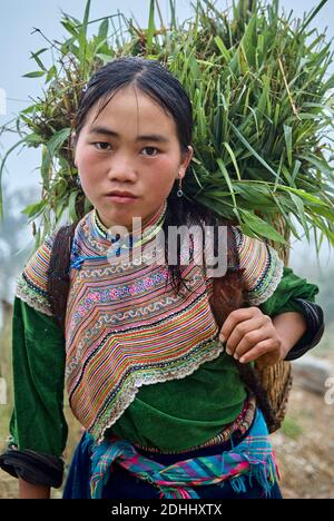 Vietnam. Nordvietnam. BAC Ha-Bereich. Ban Pho Dorf. Blume Hmong ethnische Gruppe. Stockfoto