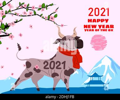 Happy Chinese 2021 Neujahrskarte. Jahr des Ochsen. Niedlicher Stier mit rotem Schal und blühenden Baumblumen, Hintergrund chinesische asiatische Landschaft Stock Vektor