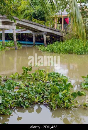 Dorf in der Nähe von kleinen Kanal in Mekong Delta Vietnam Stockfoto