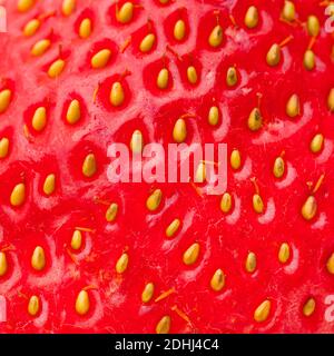 Oberfläche einer Erdbeere im Detail Stockfoto