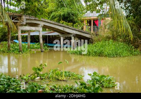 Dorf in der Nähe von kleinen Kanal in Mekong Delta Vietnam Stockfoto