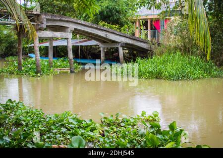 Dorf in der Nähe von kleinen Kanal in Mekong Delta Vietnam Stockfoto