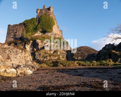 Die Ruinen von Schloss Tioram auf Eilean Tioram (The Dry Island) Moidart Scotland Großbritannien Stockfoto