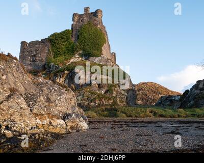 Die Ruinen von Schloss Tioram auf Eilean Tioram (The Dry Island) Moidart Scotland Großbritannien Stockfoto