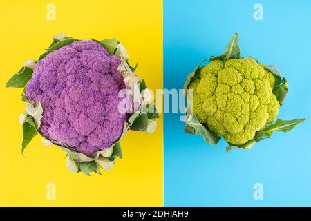 Ein grüner und ein viiolet Blumenkohl auf einer kolofierten Oberfläche Stockfoto