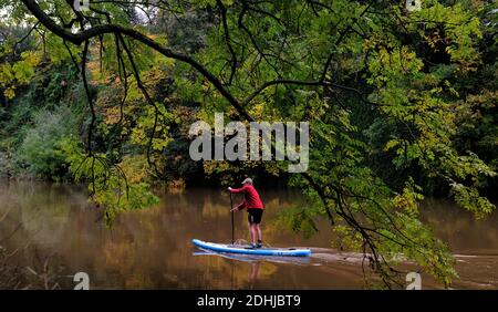 Herbstfarbe auf dem Fluss Wear, Grafschaft Durham. Bild aufgenommen am 16. Oktober 2020 Stockfoto